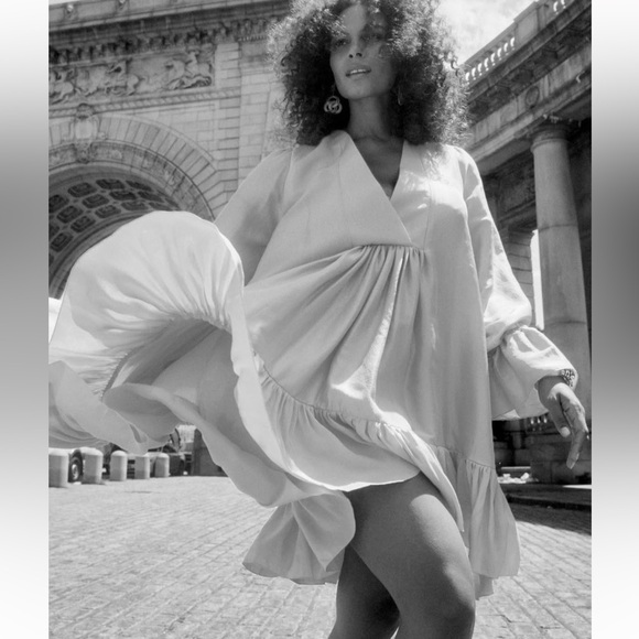 Azeeza Raw Silk Thistle Long Sleeve Mini Dress Brown Size XL